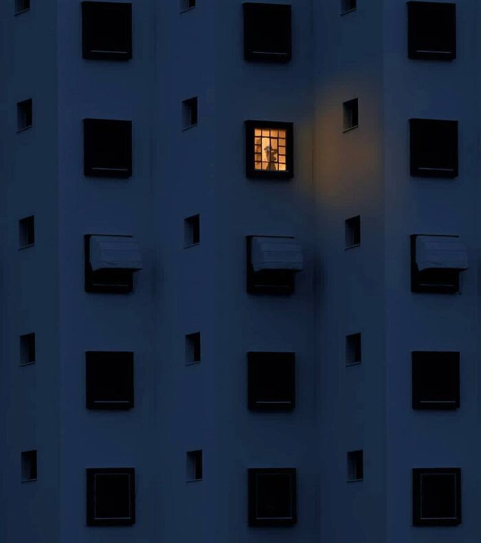 A arte oculta nas ruas: 46 fotos deslumbrantes de locais públicos 27