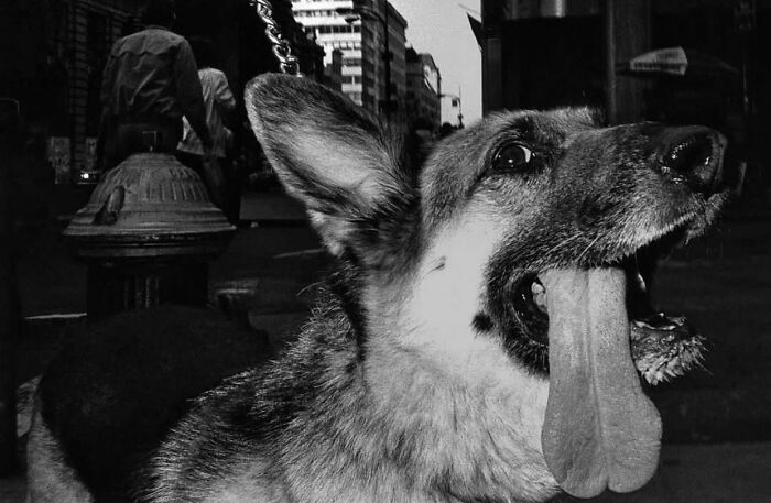 A arte oculta nas ruas: 46 fotos deslumbrantes de locais públicos 32