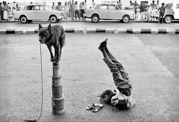 A arte oculta nas ruas: 46 fotos deslumbrantes de locais públicos 37