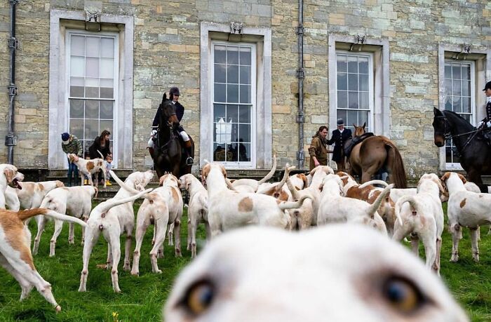A arte oculta nas ruas: 46 fotos deslumbrantes de locais públicos 45