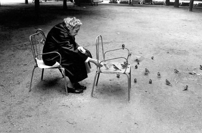 A arte oculta nas ruas: 46 fotos deslumbrantes de locais públicos 46