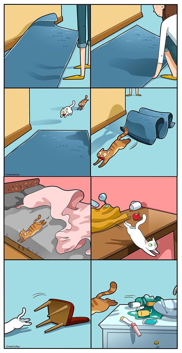 A vida cotidiana ao lado de um gato em 38 fotos - Uma representação perfeita por este artista 1