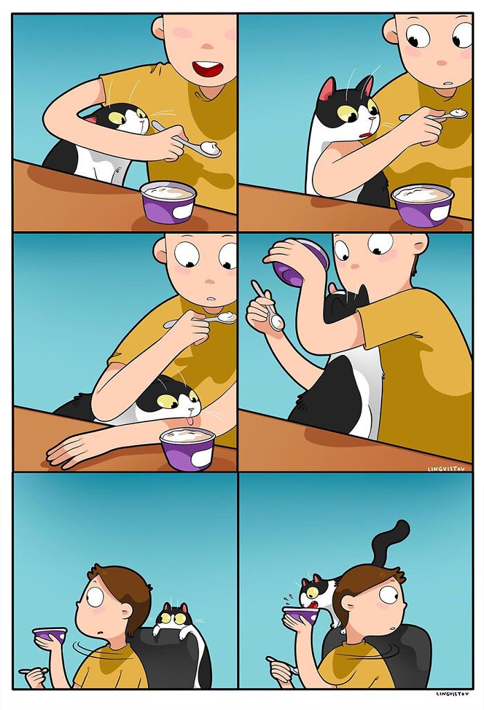 A vida cotidiana ao lado de um gato em 38 fotos - Uma representação perfeita por este artista 2