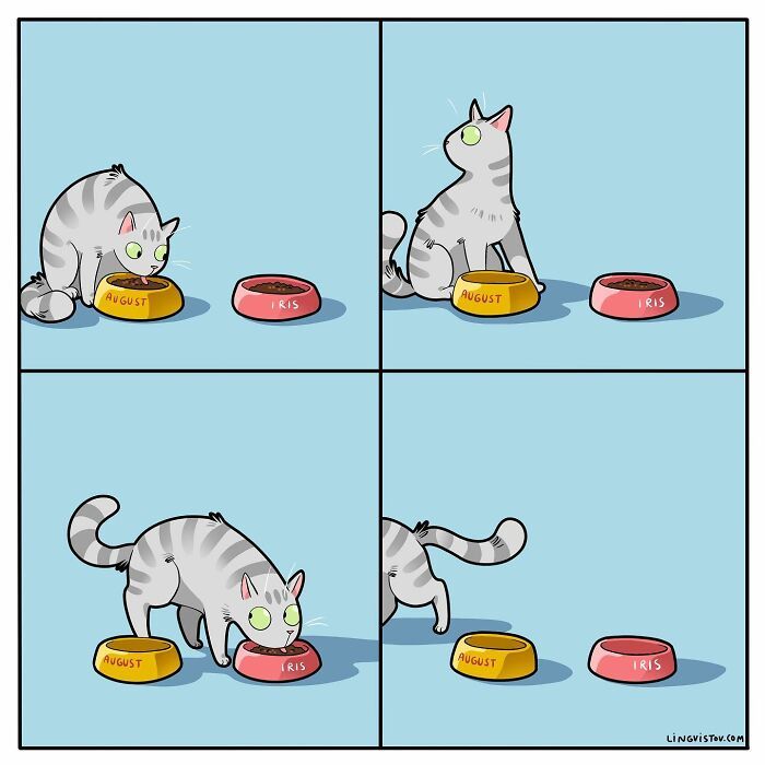 A vida cotidiana ao lado de um gato em 38 fotos - Uma representação perfeita por este artista 9