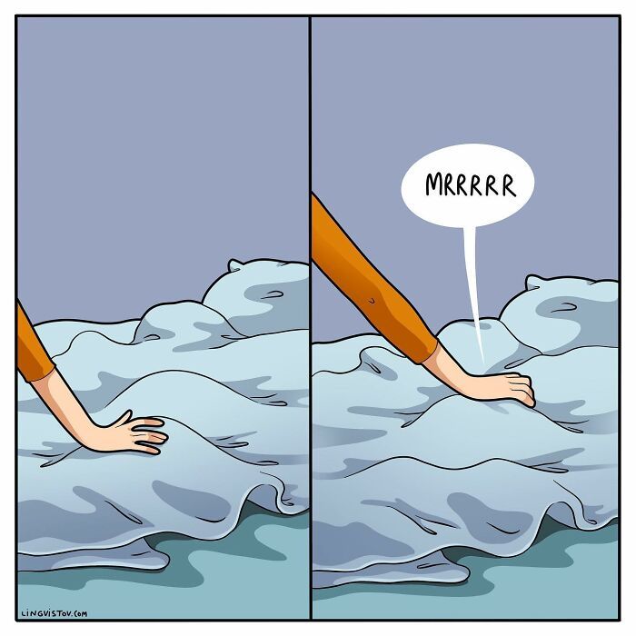 A vida cotidiana ao lado de um gato em 38 fotos - Uma representação perfeita por este artista 12