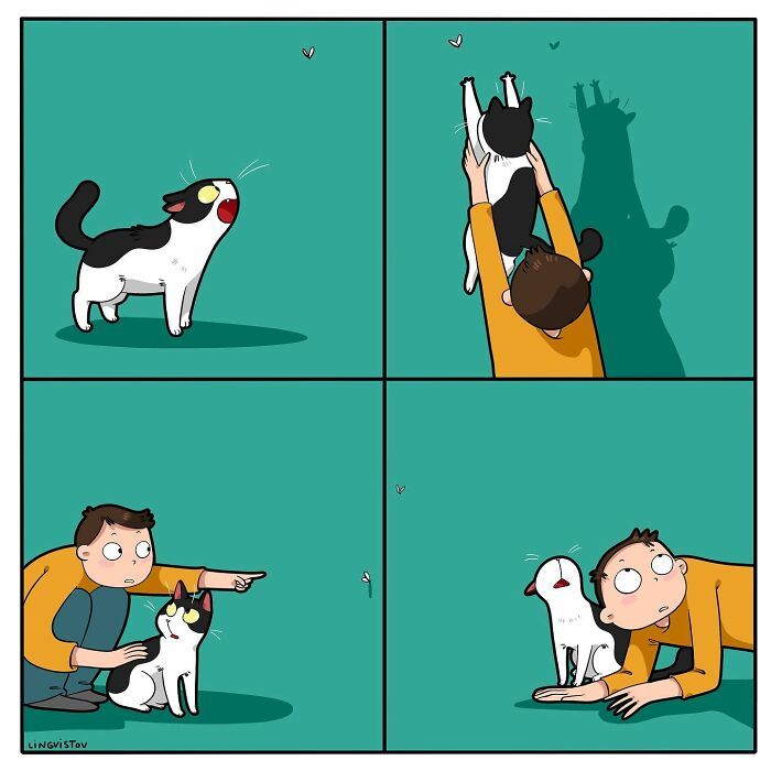 A vida cotidiana ao lado de um gato em 38 fotos - Uma representação perfeita por este artista 16