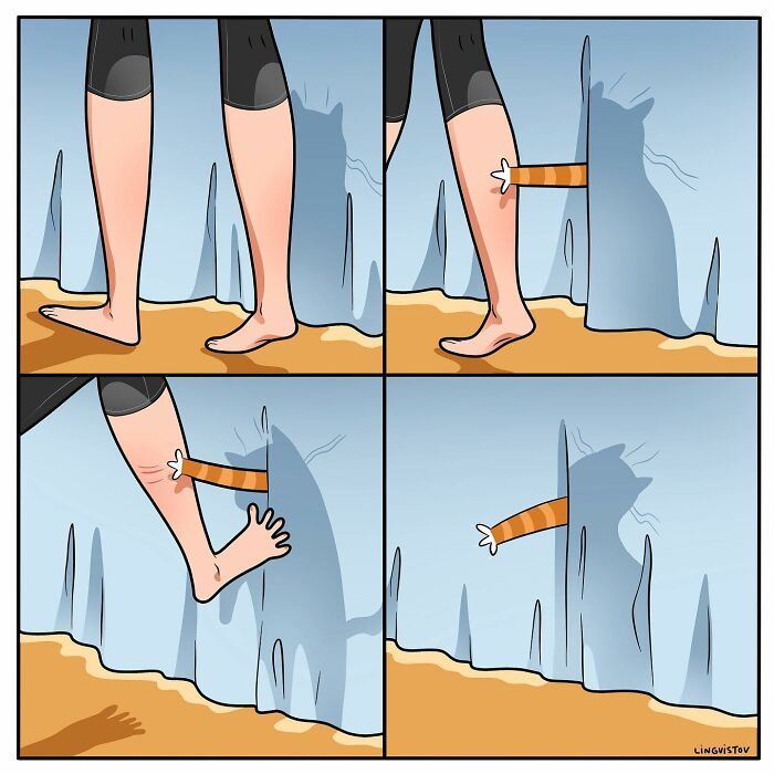 A vida cotidiana ao lado de um gato em 38 fotos - Uma representação perfeita por este artista 20