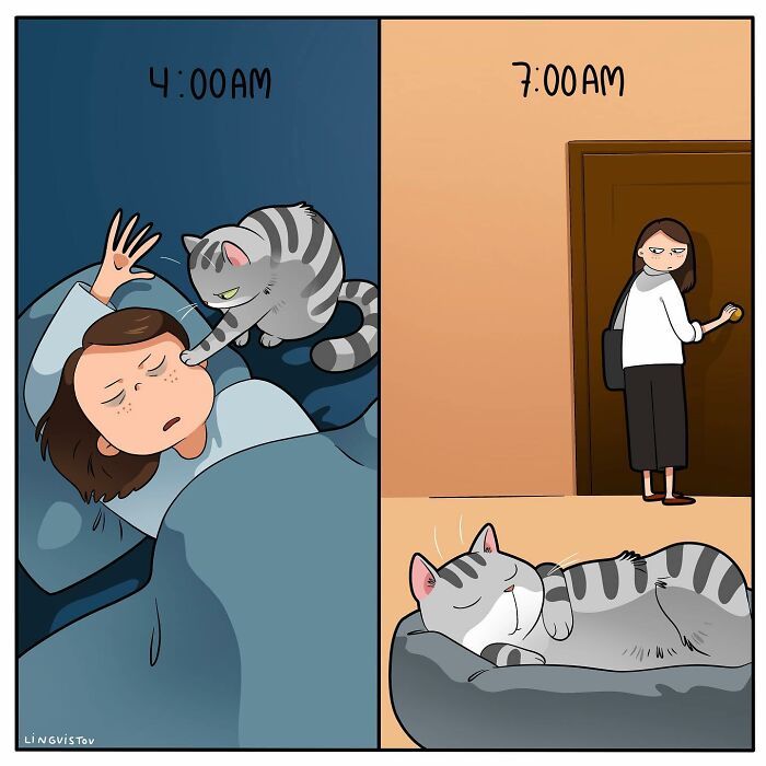 A vida cotidiana ao lado de um gato em 38 fotos - Uma representação perfeita por este artista 29