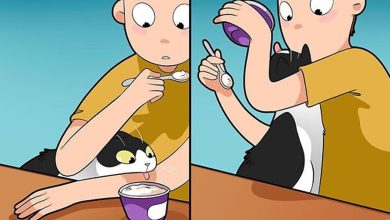A vida cotidiana ao lado de um gato em 38 fotos - Uma representação perfeita por este artista 10