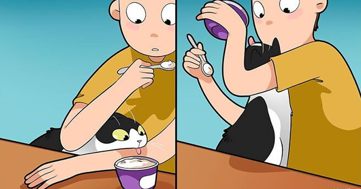 A vida cotidiana ao lado de um gato em 38 fotos – Uma representação perfeita por este artista