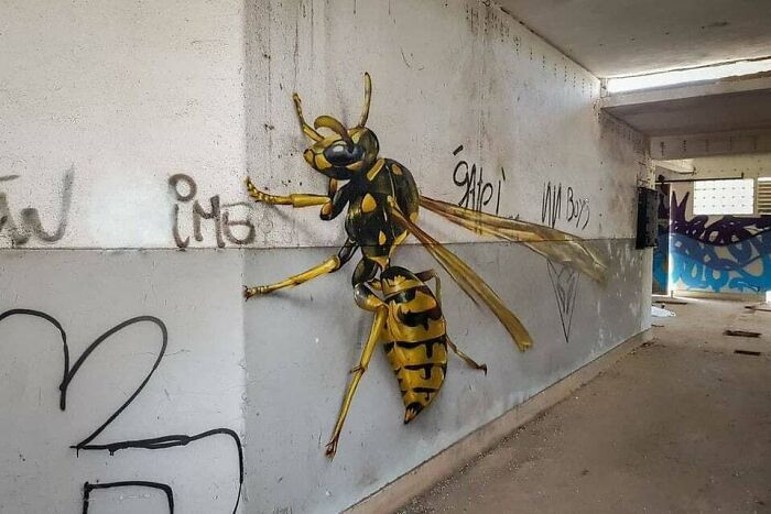 Arte do grafite: Entre a controvérsia e a expressão criativa nas ruas (32 fotos) 23
