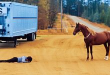 As cenas mais incríveis e emocionantes com animais! 10