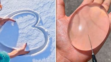 Coisas satisfatórias que definitivamente vão chamar sua atenção 10