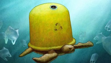 Ilustrador choca o mundo com 35 obras que expõem os defeitos da nossa sociedade atual 30