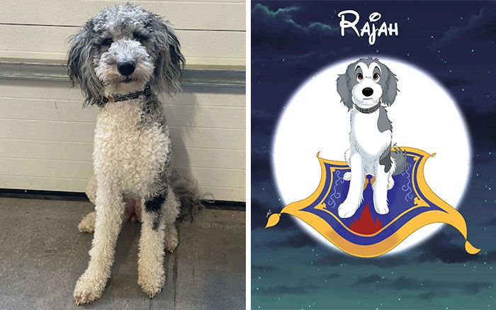 Artista transforma animais de estimação em adoráveis personagens dos filmes da Disney (32 fotos) 1