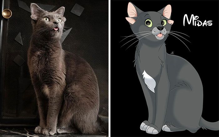 Artista transforma animais de estimação em adoráveis personagens dos filmes da Disney (32 fotos) 6