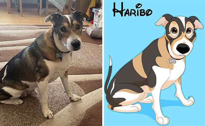 Artista transforma animais de estimação em adoráveis personagens dos filmes da Disney (32 fotos) 11