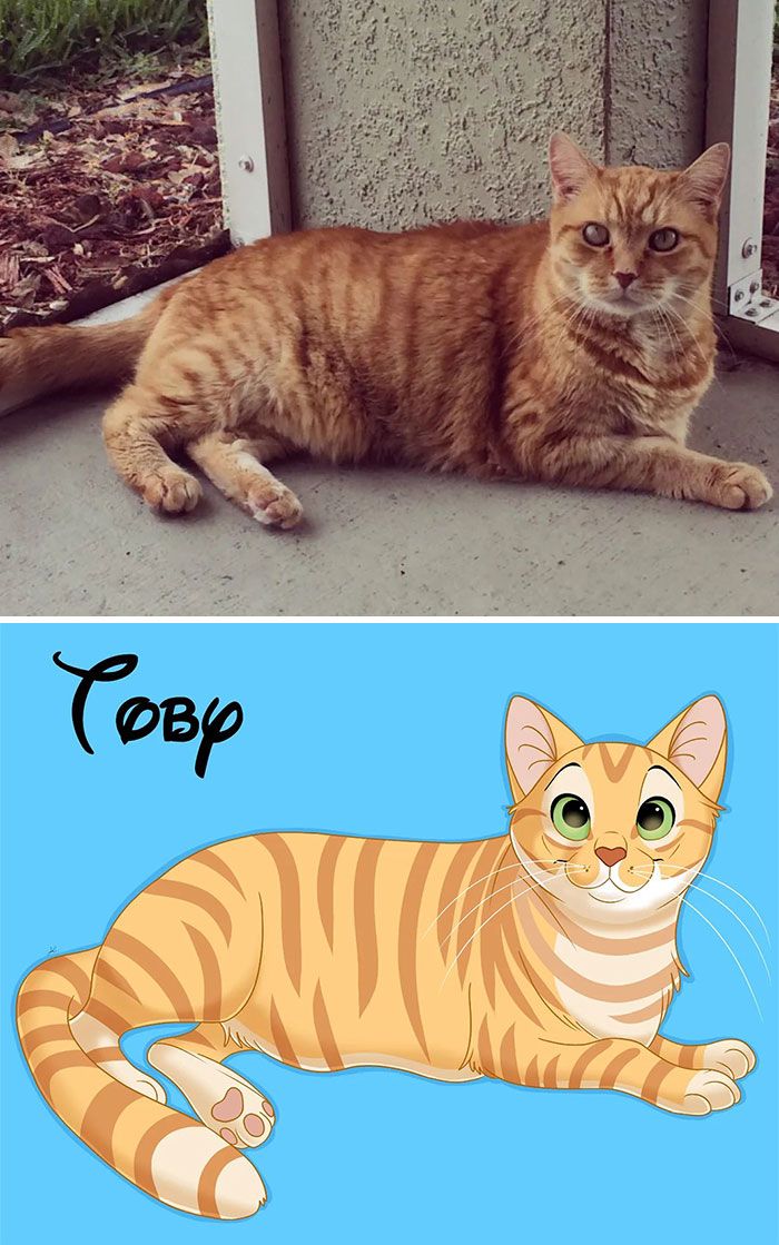 Artista transforma animais de estimação em adoráveis personagens dos filmes da Disney (32 fotos) 12