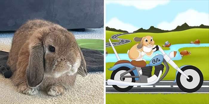 Artista transforma animais de estimação em adoráveis personagens dos filmes da Disney (32 fotos) 13
