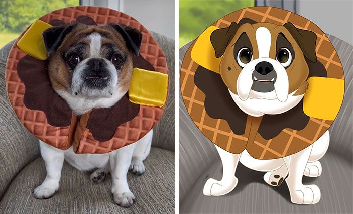 Artista transforma animais de estimação em adoráveis personagens dos filmes da Disney (32 fotos) 16