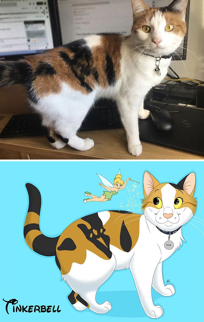 Artista transforma animais de estimação em adoráveis personagens dos filmes da Disney (32 fotos) 17