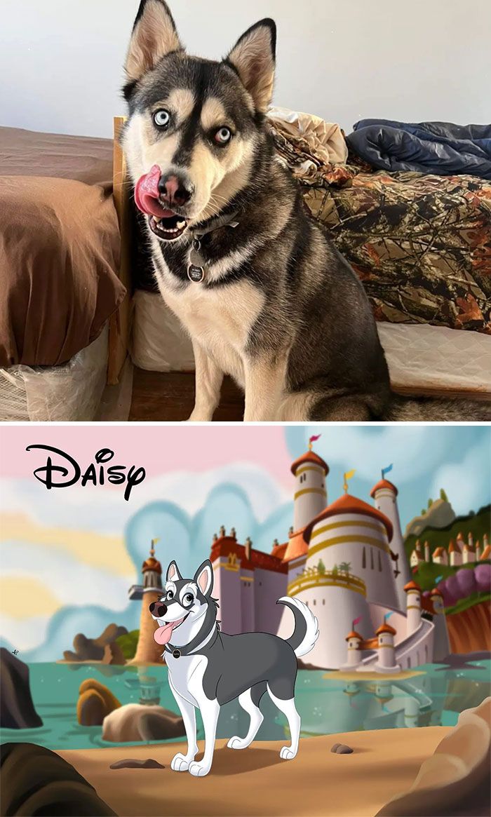 Artista transforma animais de estimação em adoráveis personagens dos filmes da Disney (32 fotos) 21