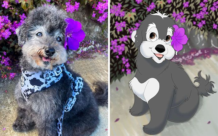 Artista transforma animais de estimação em adoráveis personagens dos filmes da Disney (32 fotos) 29