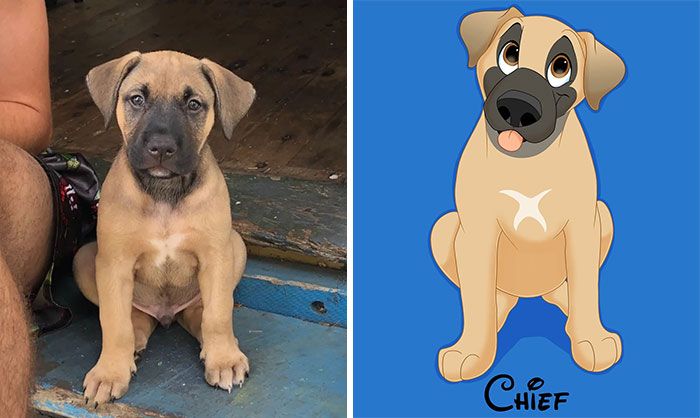 Artista transforma animais de estimação em adoráveis personagens dos filmes da Disney (32 fotos) 32