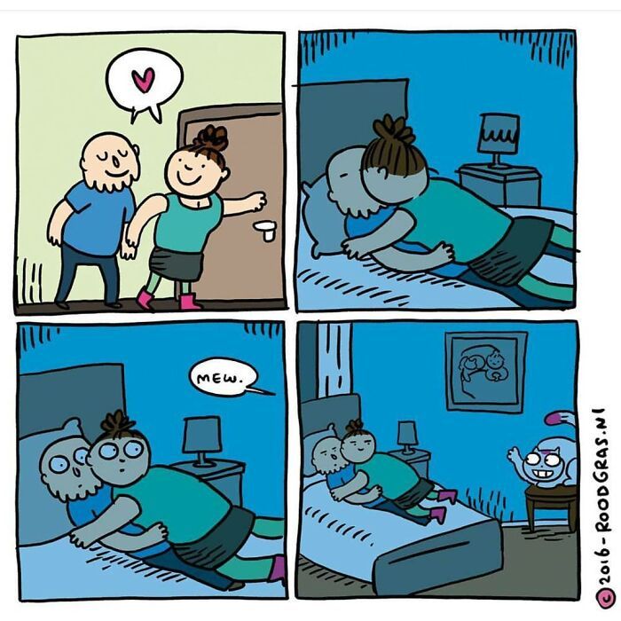 As adoráveis aventuras em quadrinhos de um gato (32 fotos) 3