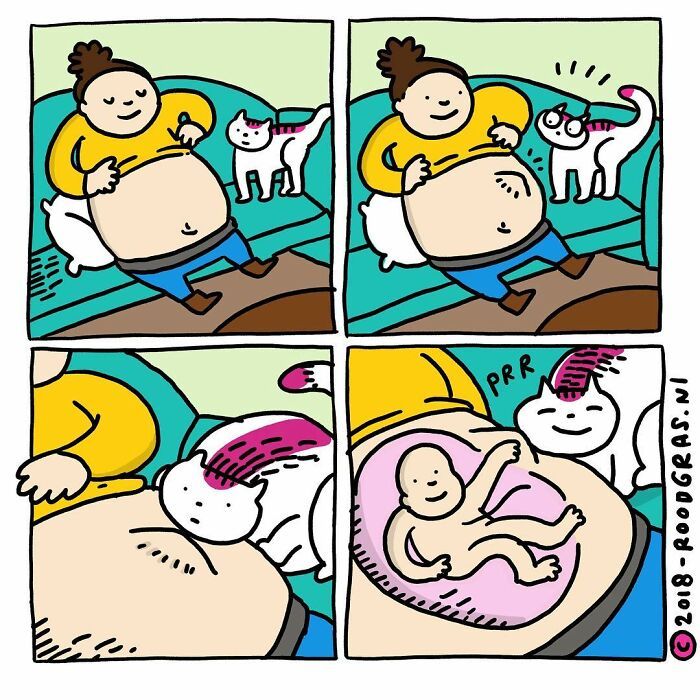 As adoráveis aventuras em quadrinhos de um gato (32 fotos) 9