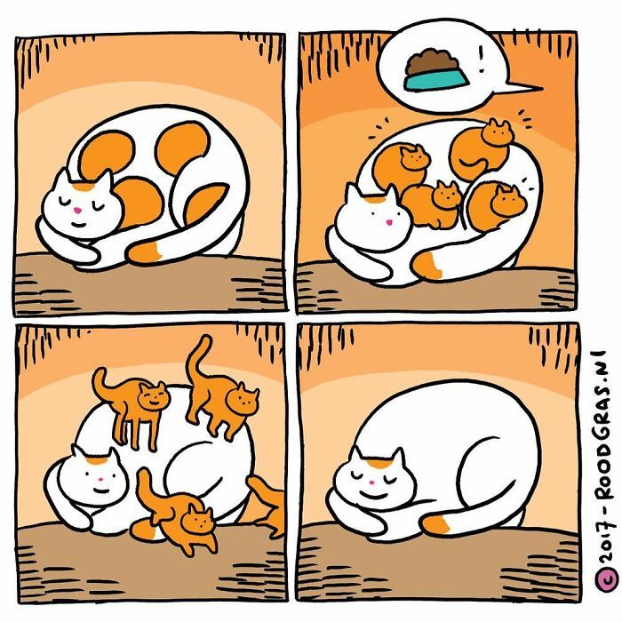 As adoráveis aventuras em quadrinhos de um gato (32 fotos) 15