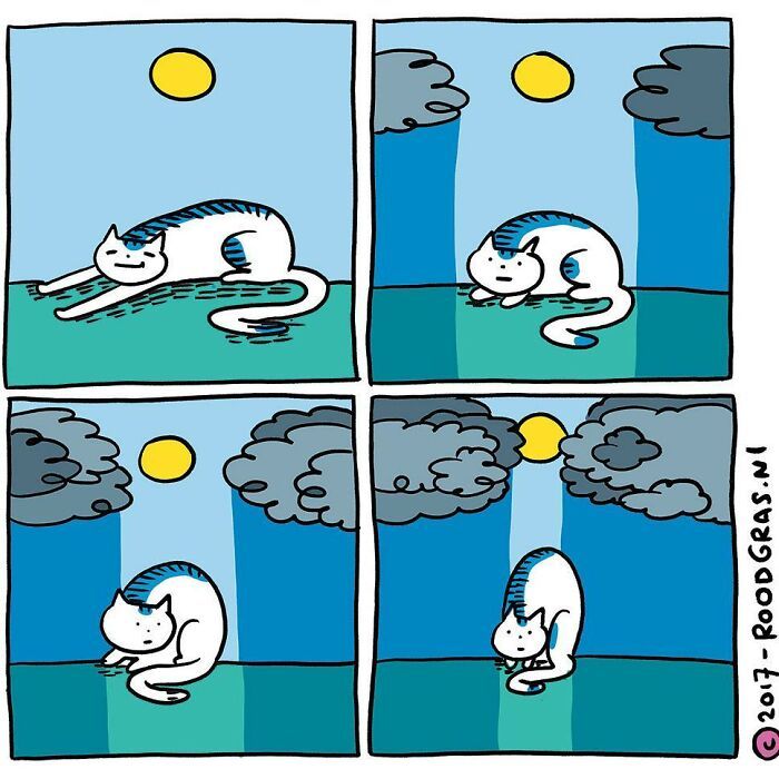 As adoráveis aventuras em quadrinhos de um gato (32 fotos) 21