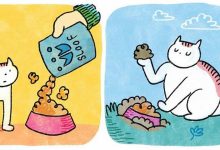 As adoráveis aventuras em quadrinhos de um gato (32 fotos) 14