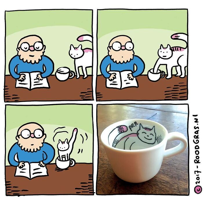 As adoráveis aventuras em quadrinhos de um gato (32 fotos) 28