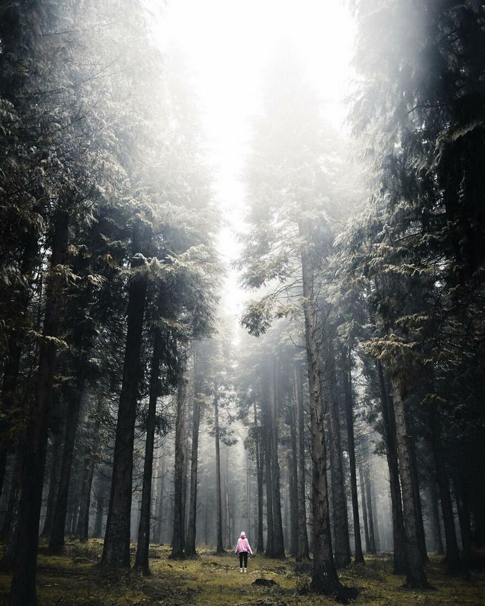 Desbravando o mundo com fotografias de tirar o fôlego: Uma coleção de 49 novas imagens 3