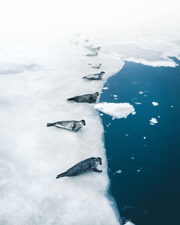 Desbravando o mundo com fotografias de tirar o fôlego: Uma coleção de 49 novas imagens 8