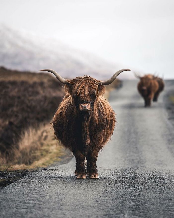 Desbravando o mundo com fotografias de tirar o fôlego: Uma coleção de 49 novas imagens 42