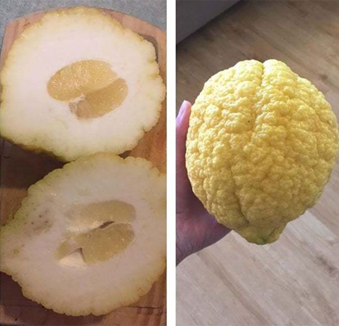 28 fotos levemente irritantes para deixar você desconfortável 4