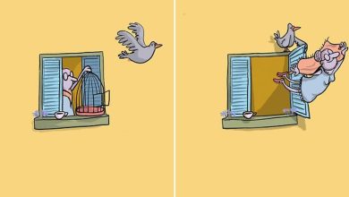 29 ilustrações instigantes de Lucas Levitan que irão despertar sua imaginação 44