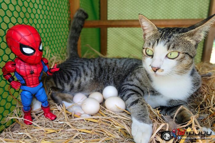 42 cenas divertidas: Bebê Homem-Aranha e animais em situações incríveis 23