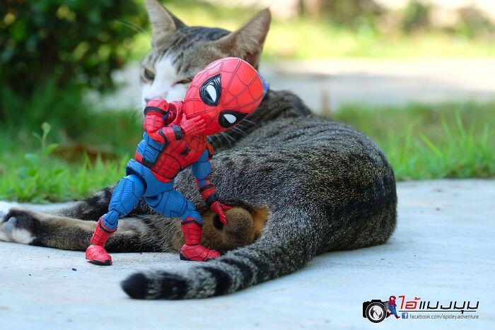 42 cenas divertidas: Bebê Homem-Aranha e animais em situações incríveis 30