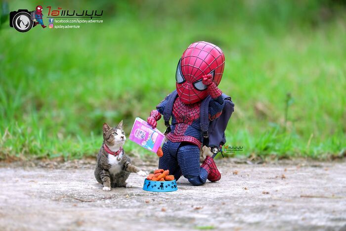 42 cenas divertidas: Bebê Homem-Aranha e animais em situações incríveis 37