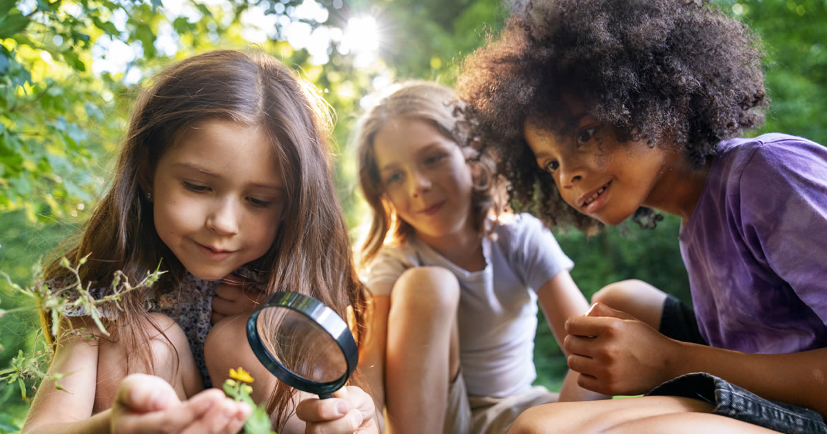 50 descobertas incríveis que você não vai acreditar que são totalmente fictícias!