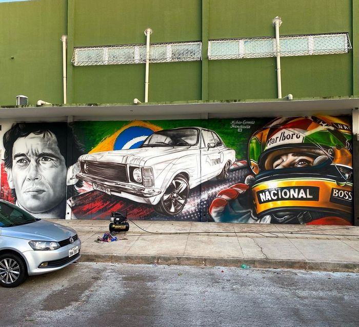 Natureza em retratos: Murais de Fábio Gomes transformam árvores em cabelos artísticos (25 fotos) 5