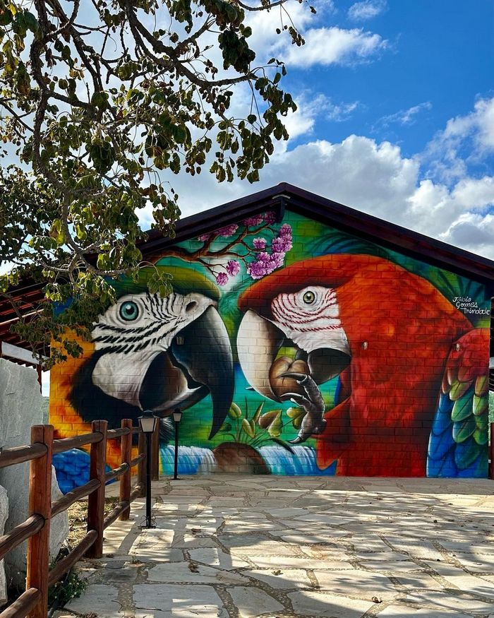 Natureza em retratos: Murais de Fábio Gomes transformam árvores em cabelos artísticos (25 fotos) 19