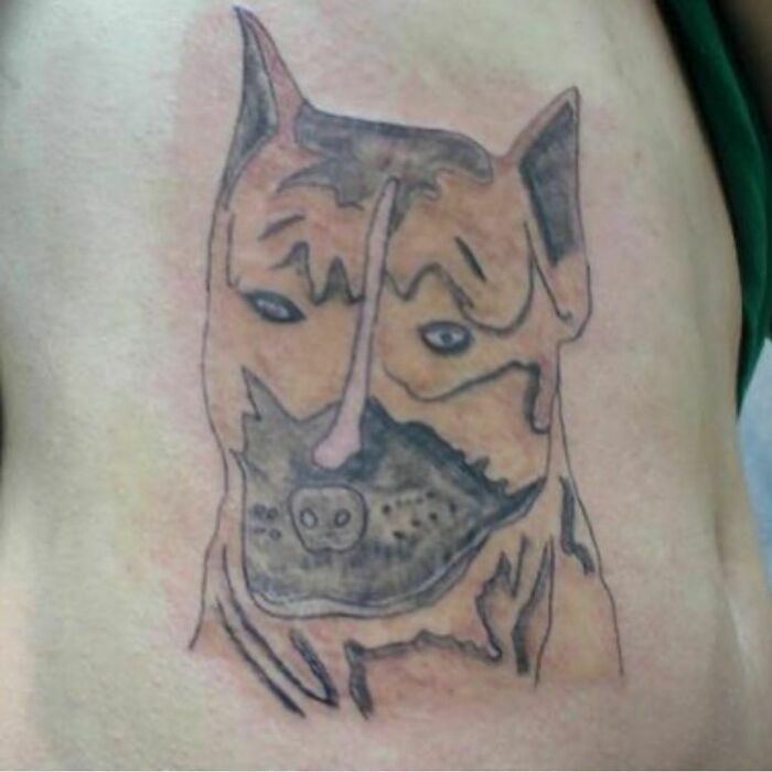 Arrependimentos tatuados: O mundo das tatuagens mal sucedidas (35 fotos) 14