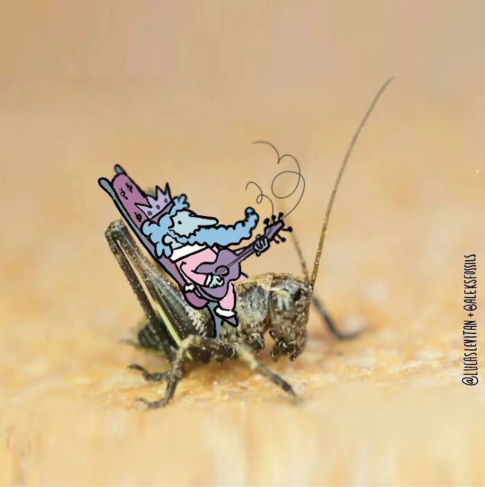 Artista continua 'Invasões divertidas' em fotos de desconhecidos no Instagram (33 fotos) 8