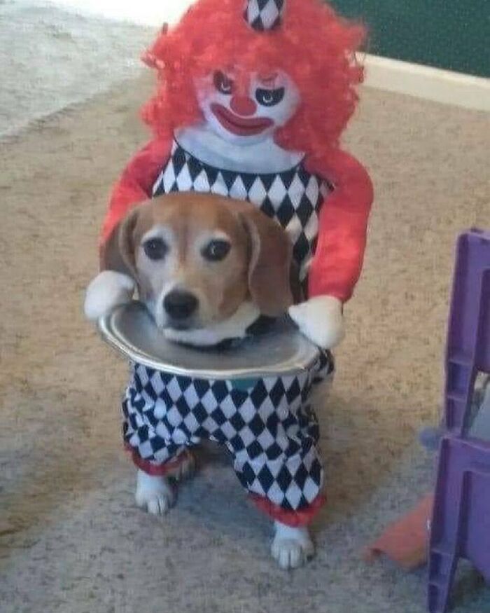 42 das melhores e mais divertidas fotos do Instagram Ugly Design 17