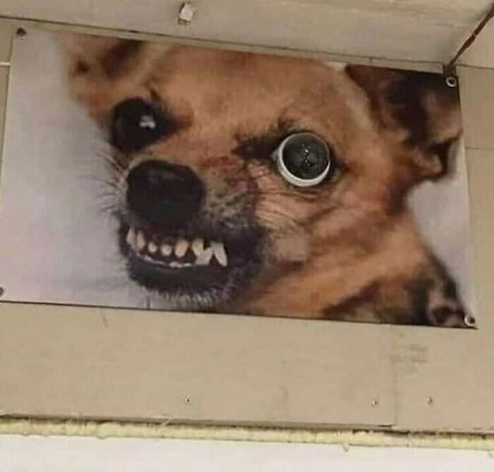 42 das melhores e mais divertidas fotos do Instagram Ugly Design 18