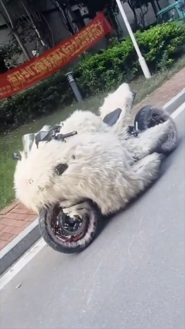 42 das melhores e mais divertidas fotos do Instagram Ugly Design 24